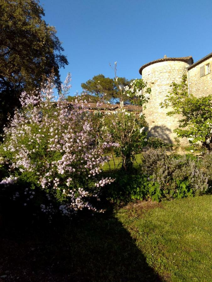 Chateau De Rousson Экстерьер фото